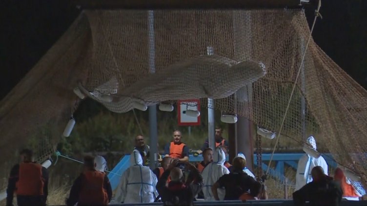 Белугата от Сена издъхна, часове след спасителната операция