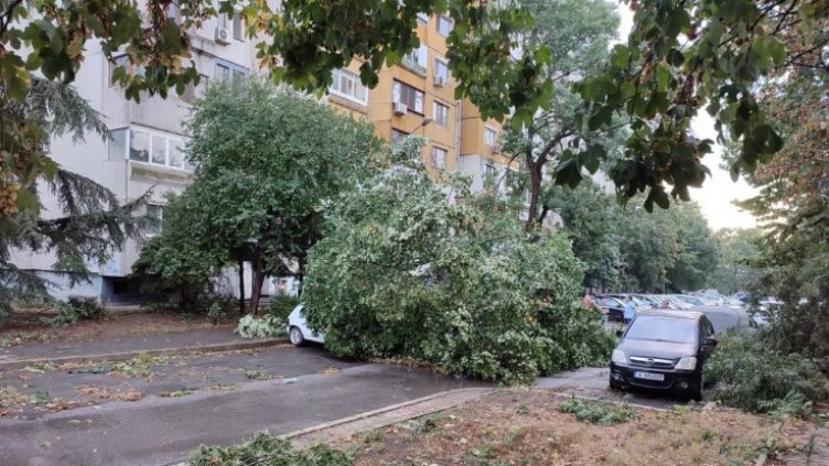 Ураган по Южното Черноморие: Пострадаха Бургас, Айтос и Поморие