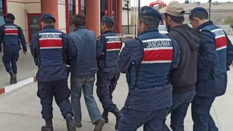 Овчари гръмнали граничаря. Братята турци – на браздата да обират бежанци