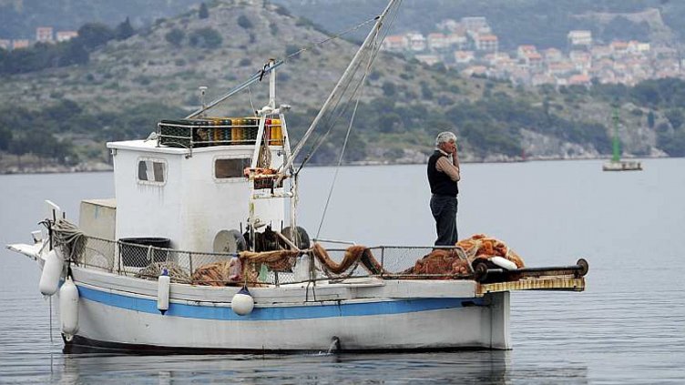 Български и румънски инспектори в съвместна проверка на рибния пазар