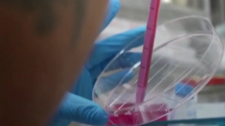 Що е то: Синтетичен ембрион, без използване на сперма и яйцеклетка?