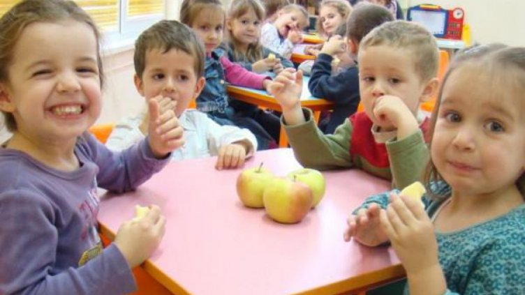 Храните в детските градини и училищата  -  само по БДС