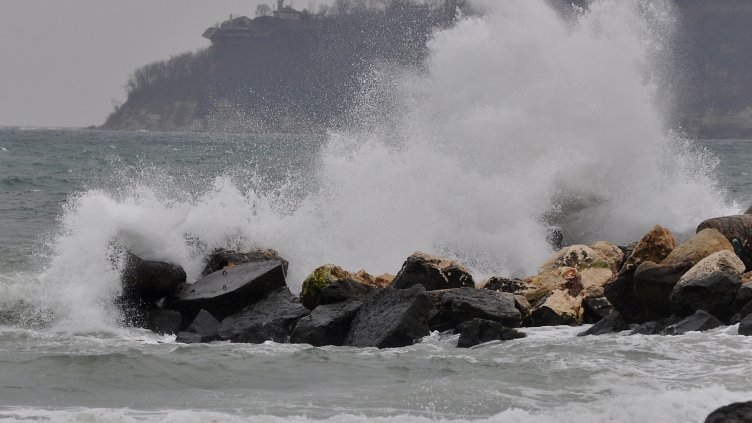 Снимка Пламен Гутинов