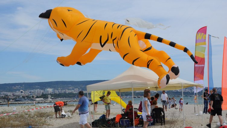 снимка: Ели Маринова