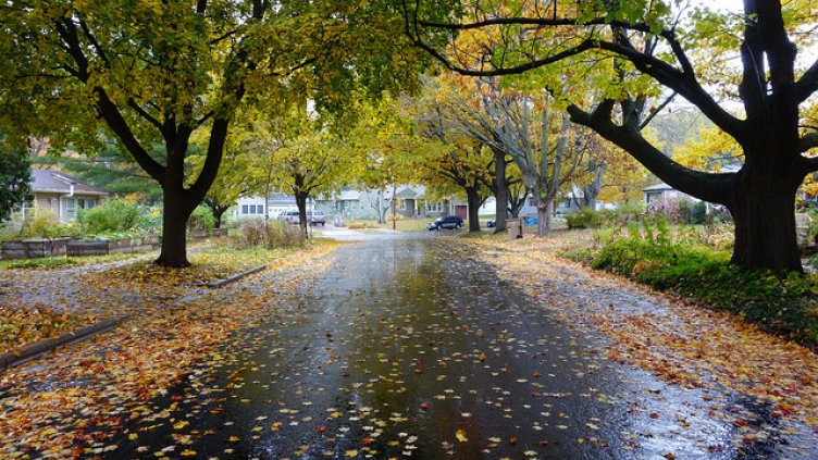 Листата на пътя – толкова опасни, колкото и ледът