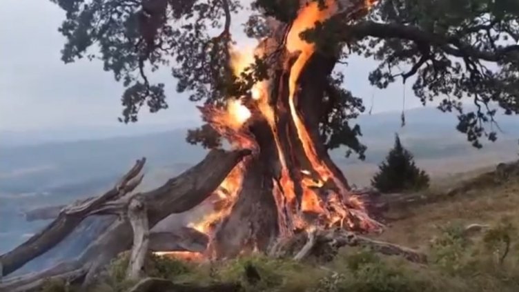 Бури удариха половин България