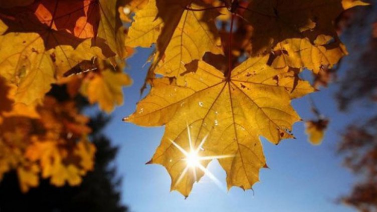 Какво време ни очаква през септември?