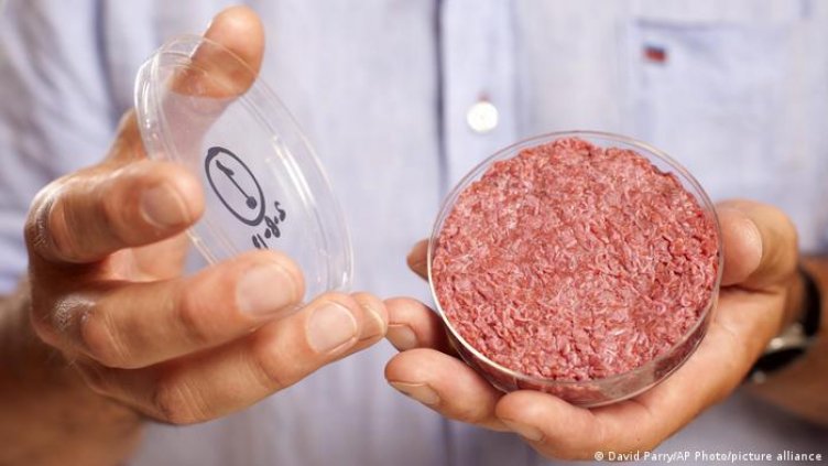 "Пилешко" от епруветка - скоро в магазините! Какво крие в себе си това месо?