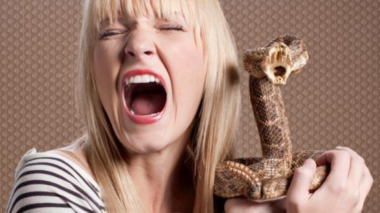 &quot;Скъпа, вие сте истинска жена-змия!&quot;