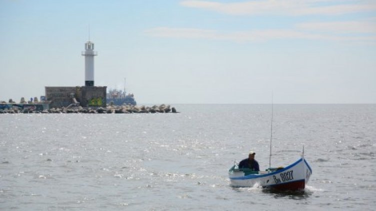 МОСВ: Черноморската вода в нашата акватория остава чиста