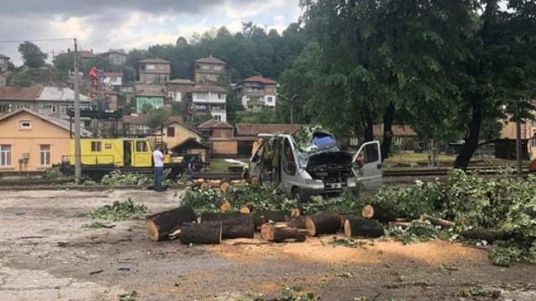 Градушка удари Трявна, дърво падна върху микробус