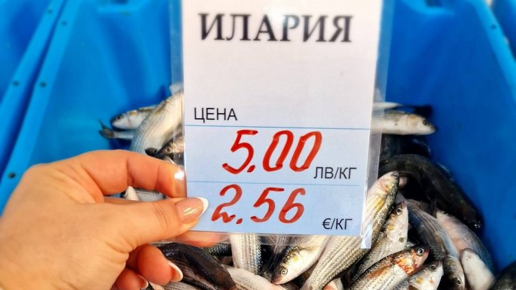 Вкусна илария на пазара в Каварна само за 5 лева 