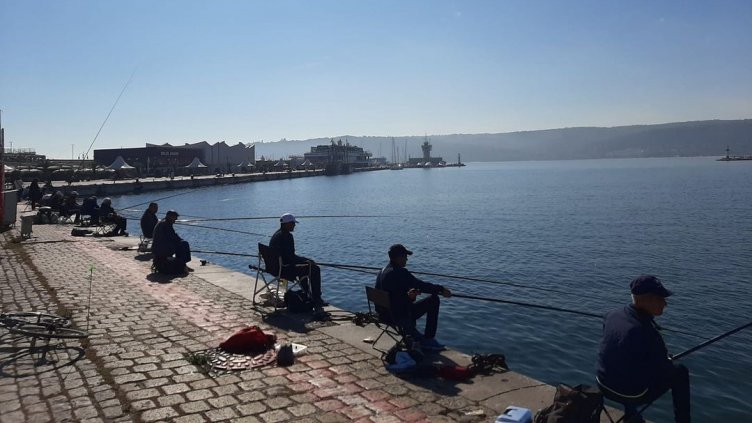 Заради топлата морска вода риба в морето почти няма