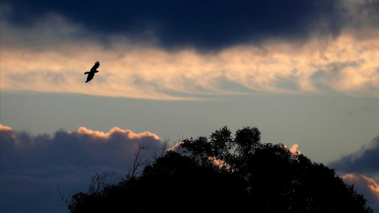 Интензивни валежи в Западна и Централна България