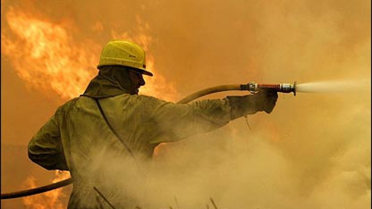 Пожар изпепели 500 дка лозя край Тополи