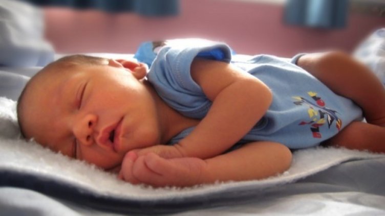 Свършиха приемните семейства във Варна