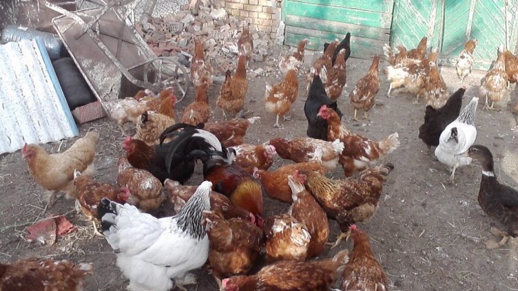 Снимката е илюстративна