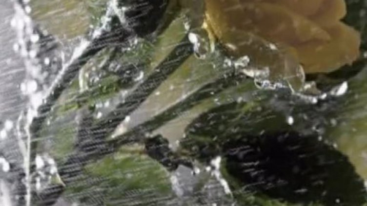 Студът свършва в сряда, иде топъл Гергьовден