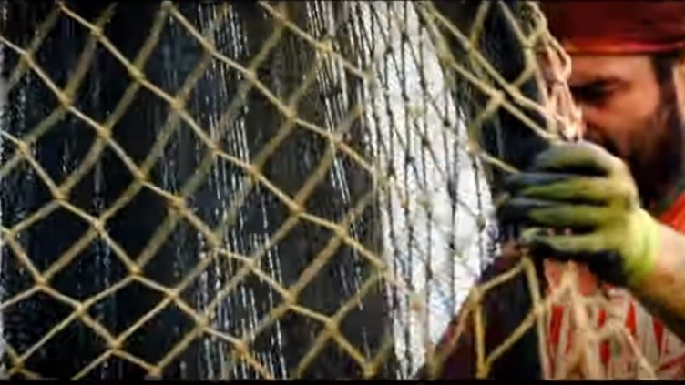 Морски вълци с признание: Рибарите тази зима са обречени на голям глад!