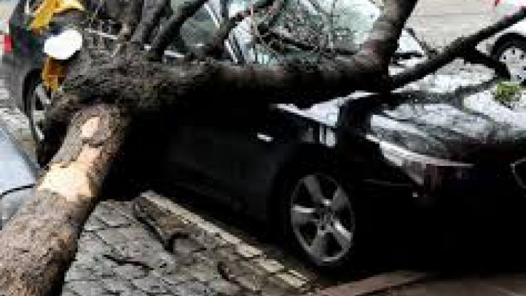 Снимката е илюстративна