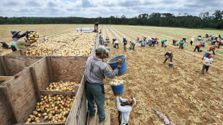 България е на челно място в ЕС по ниски разходи за труд