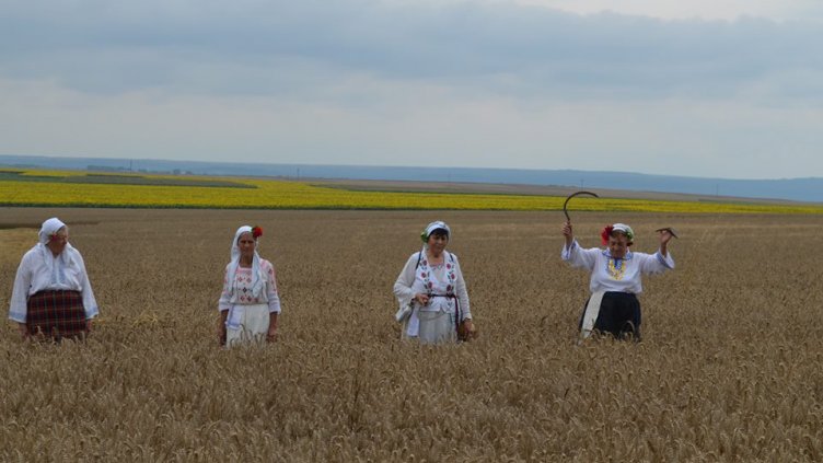 С автентичен ритуал започна жътвата в Девненско