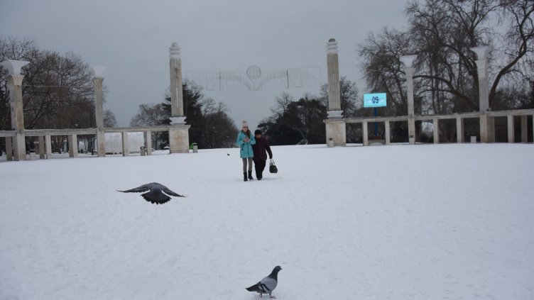 Снимка Пламен Гутинов