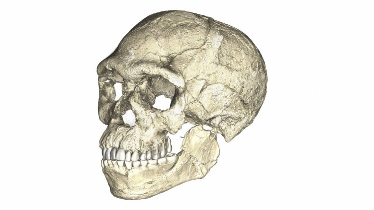 Находка в Мароко променя историята за Хомо сапиенс