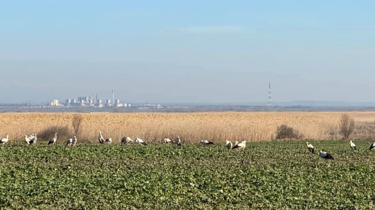 Зимата май няма да дойде!