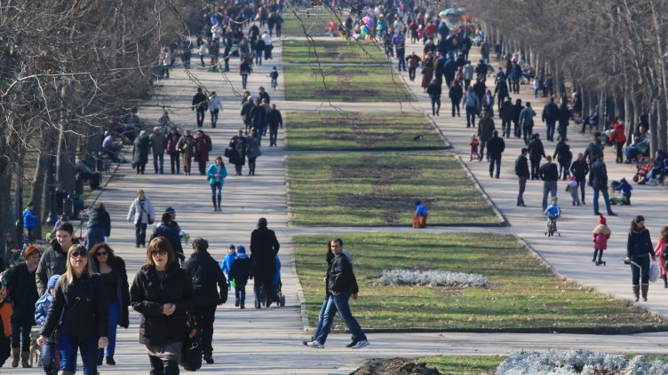Снимка Пламен Гутинов, архив