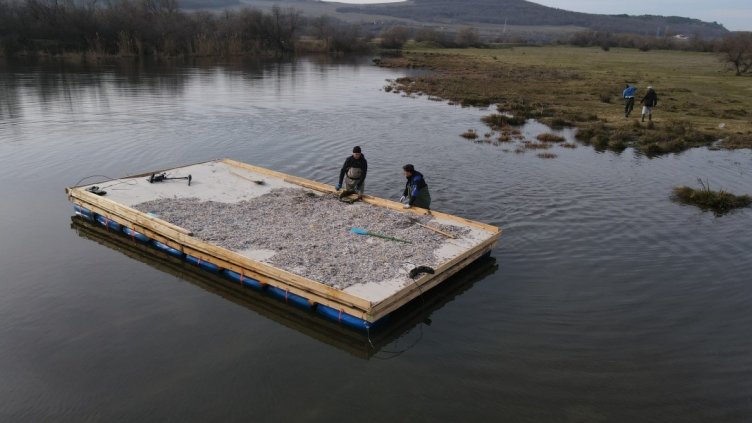 Изграждат изкуствен остров за птици във Варненското езеро