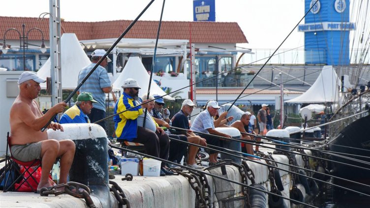 Рибари: Морето завря от сафрид