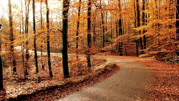 Есента започна с хлад, но се чака топла вълна