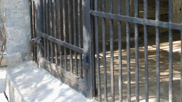 Животните в столичния зоопарк не са умрели от &quot;син език&quot;