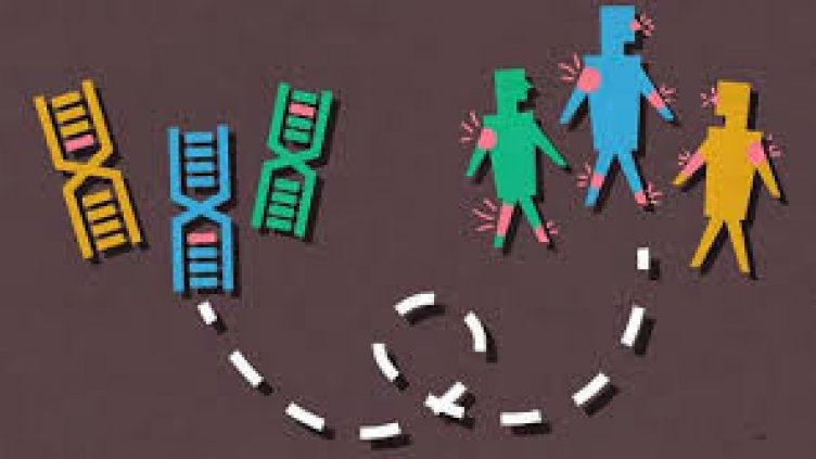 Снимка: nih.gov