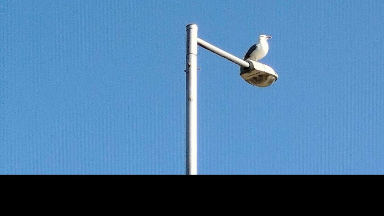 По-топло време в празничния 24 май