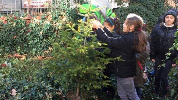 Благотворителна кампания за продажба на живи елхи започна във Варна