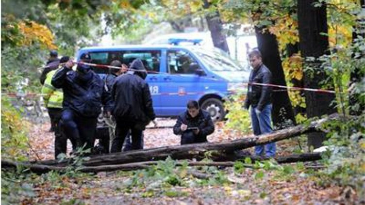 Дървото, което затисна мъжа в Борисовата градина, се е изтръгнало от корена