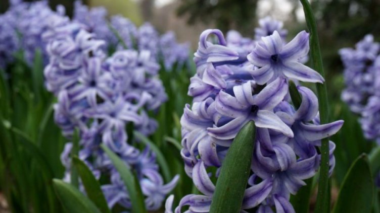 Слънчев, но пък по-хладен петък