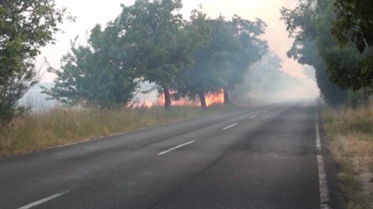 Три големи пожара бушуват в Пловдивско