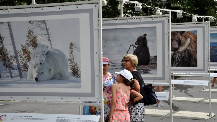 Снимка Пламен Гутинов