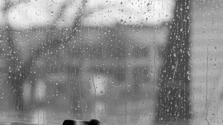 През целият ден дъжд