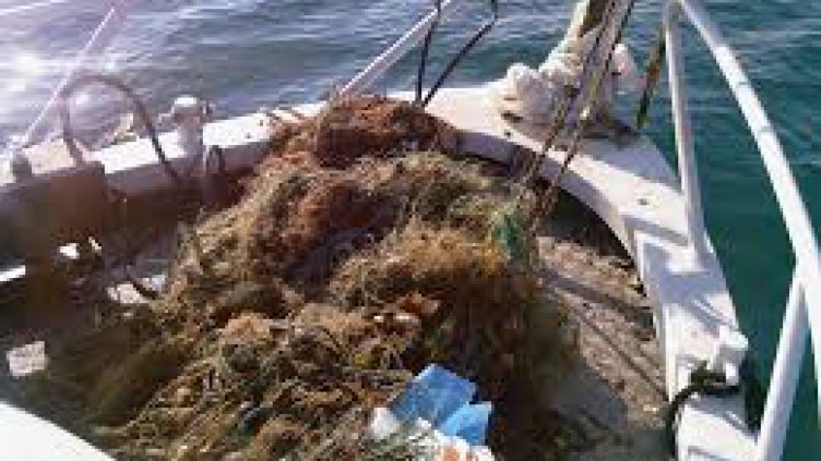 Снимка: ИАРА