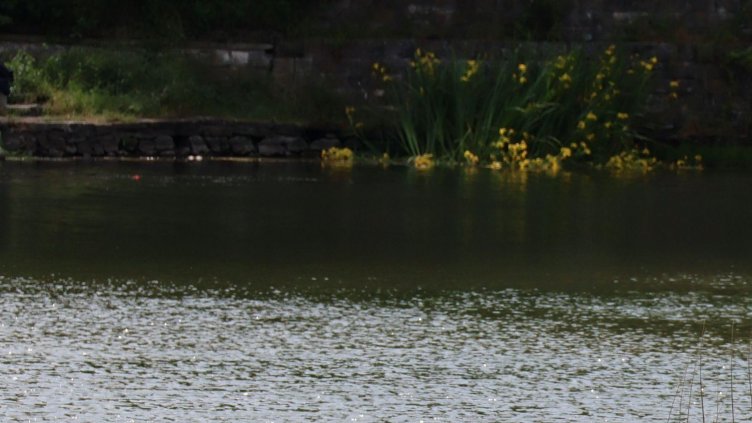 33-годишен мъж се удави, след като влезе да спасява сина си