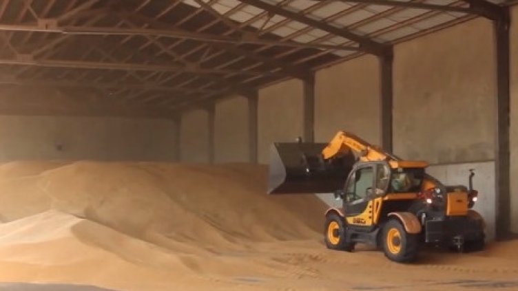 Браншът е в колапс, алармират зърнопроизводители 