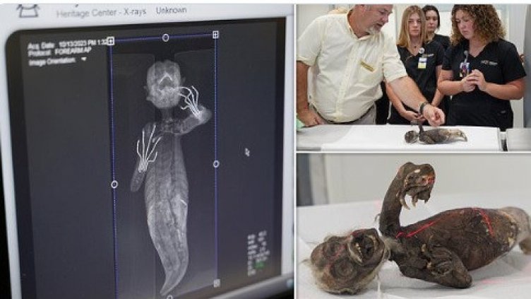 Мумията: риба, маймуна, влечуго или… русалка? Вижте (СНИМКИ И ВИДЕО)