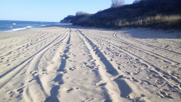 ATV-та и джипове рият редовно на Карадере. Плажът – в коловози!