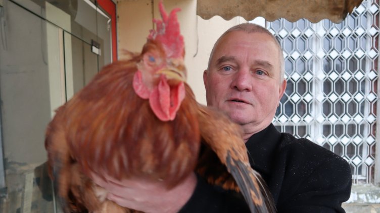 Варненски зевзек помилва петела Гришо за Петльовден