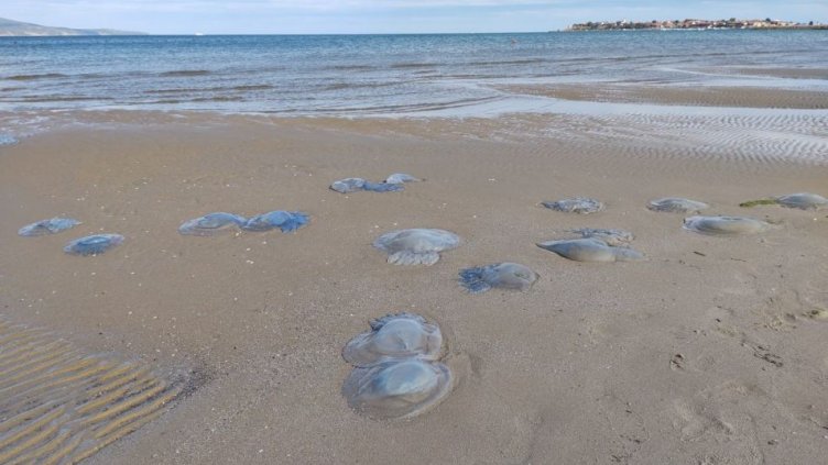 Преди бурята морето се отдръпна 5 м навътре