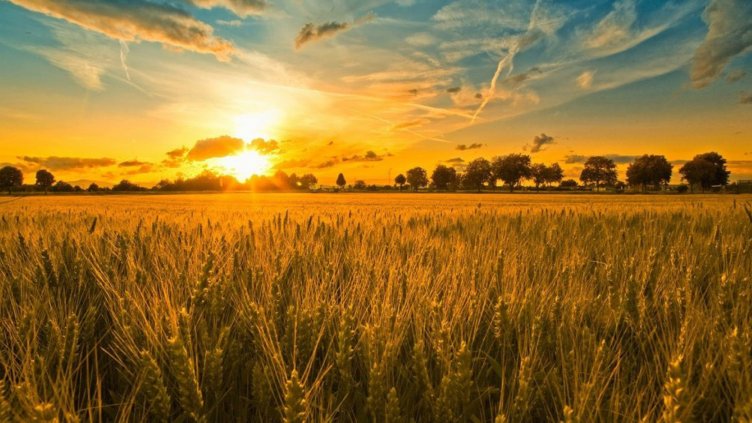 Визията за обща селскостопанска политика след 2020 г. представи земеделският министър пред бранша